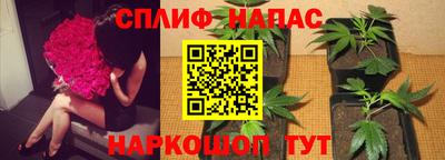 марихуана Сланцы