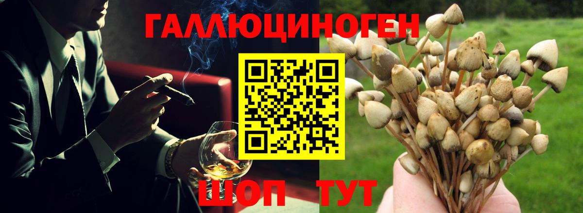 Псилоцибиновые грибы GOLDEN TEACHER Черногорск